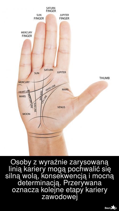 BESTY pl Co mówią o tobie linie na dłoniach