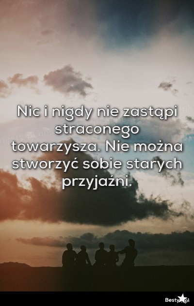 BESTY.pl - Nic I Nigdy Nie Zastąpi Straconego Towarzysza. Nie Można ...