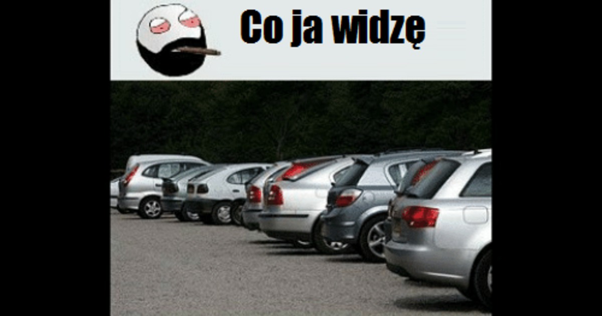 Bestypl Co Ja Widzę A Co Widzi Mój Pies 6036