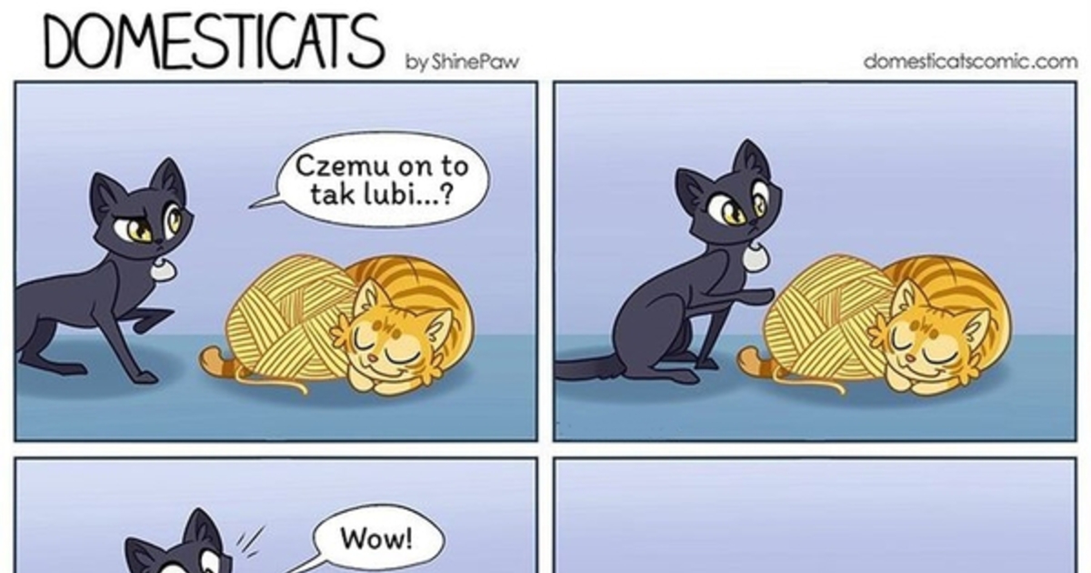 Русский комикс про котов. Комикс про кота. Котики комиксы смешные. Прикольные комиксы про кошек. Комиксы про кота корала.