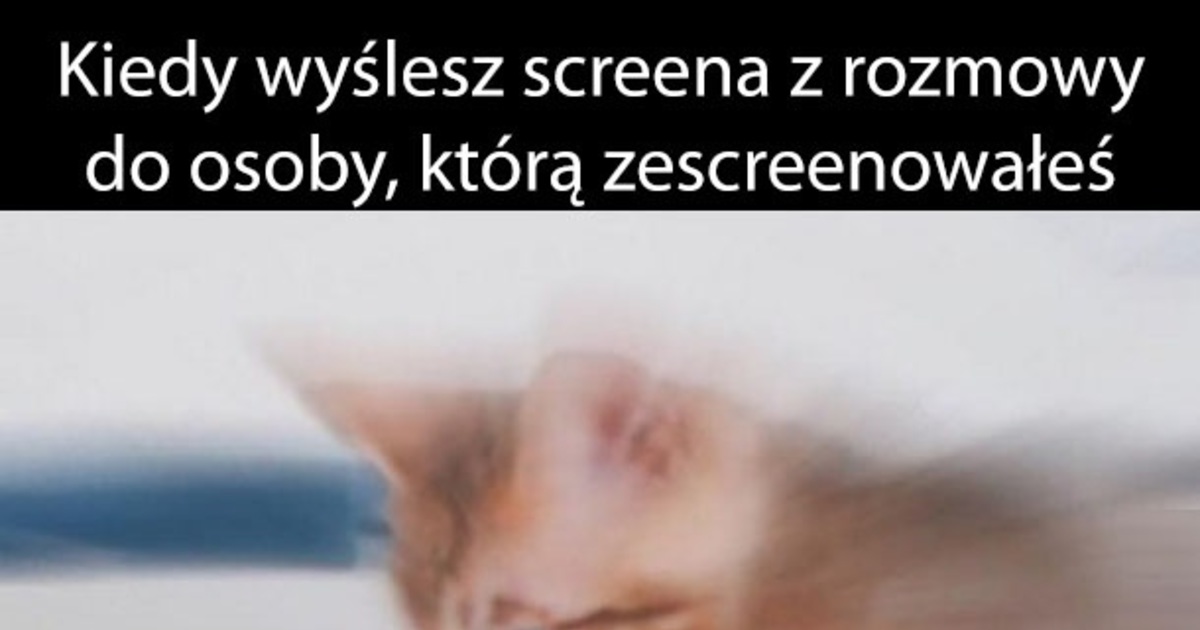 Besty Pl Kiedy Wy Lesz Screena Rozmowy