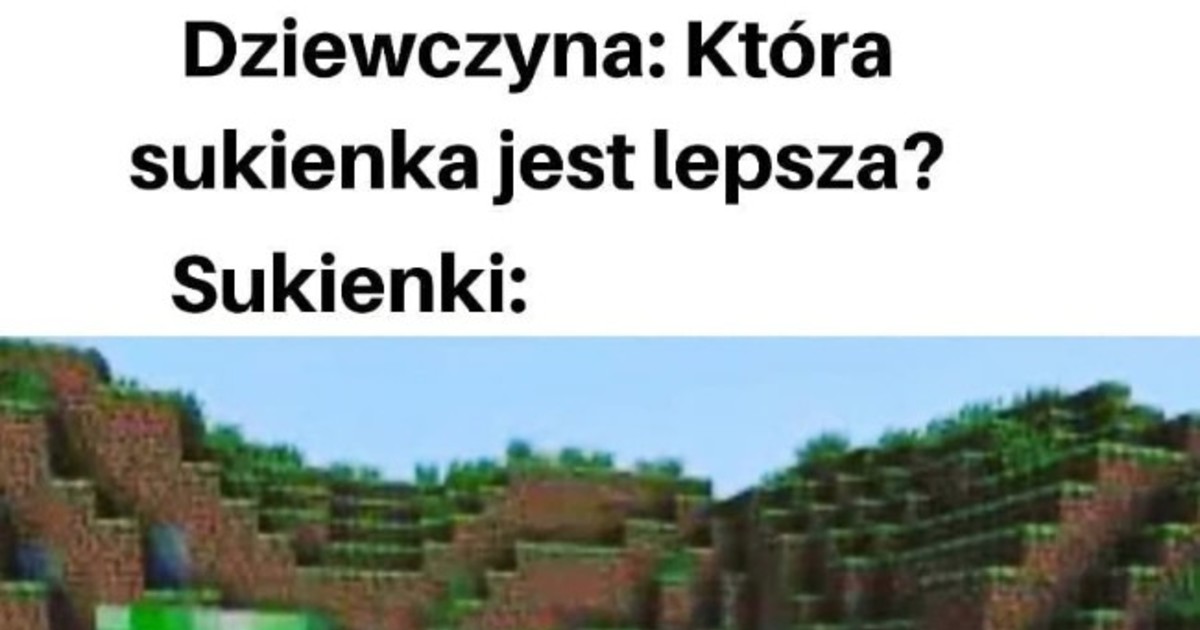 BESTY.pl Minecraft D