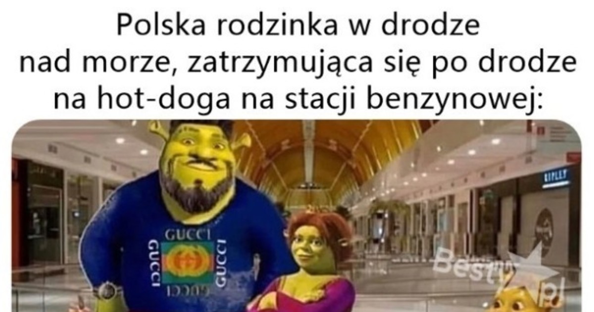 Besty Pl Silna I Niezale Na Kobieta