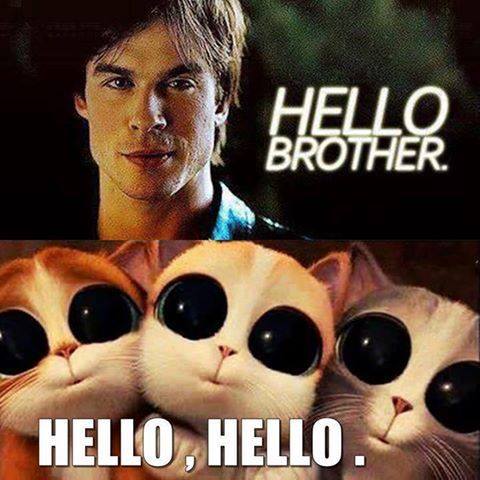 Hello brother. Hello brother Деймон. Damon Salvatore hello brother gif. Хеллоу бразерс. Хеллоу братья по разуму.